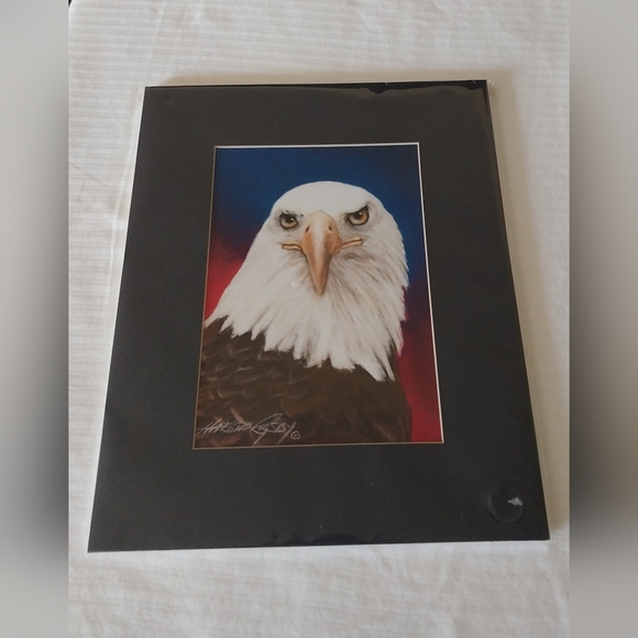 Bald Eagle print - Picture 2 of 15